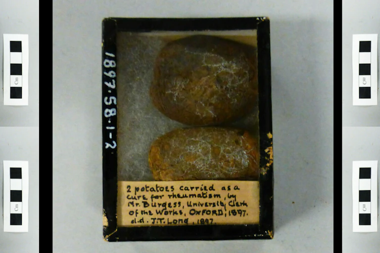 Two old potatoes in a box