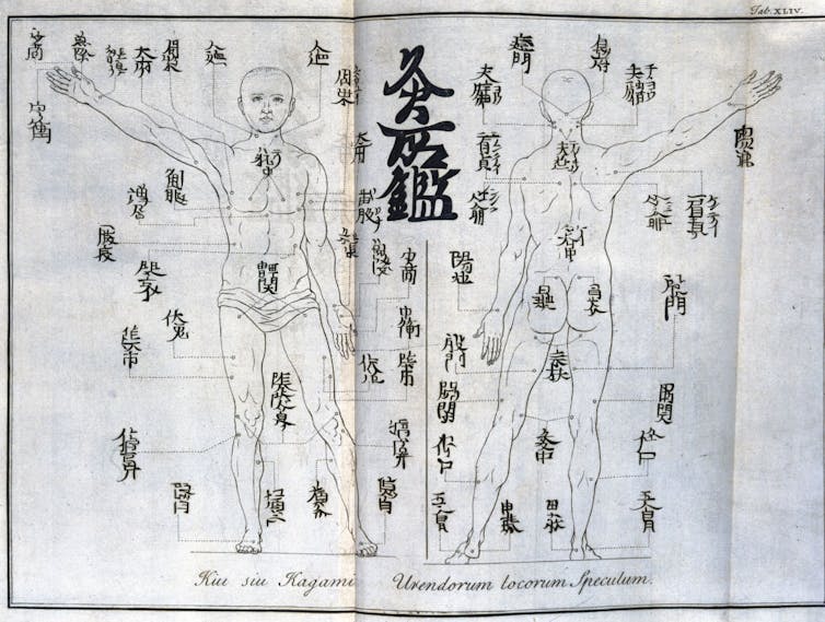 A drawing showing the outline of the human body from behind and in front, with one arm outstretched, and Chinese characters written on it.