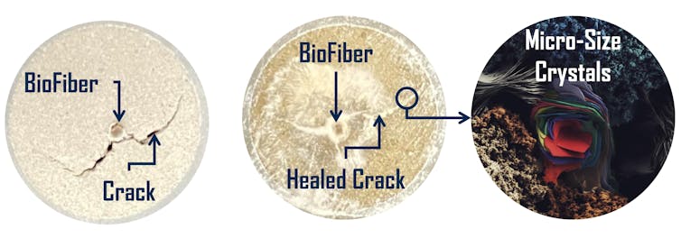 A diagram showing a crack, before and after BioFiber healing
