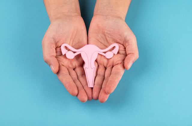 Female reproductive system in hands isolated on blue background