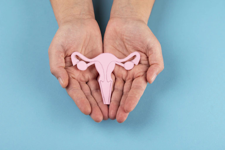 Female reproductive system in hands isolated on blue background