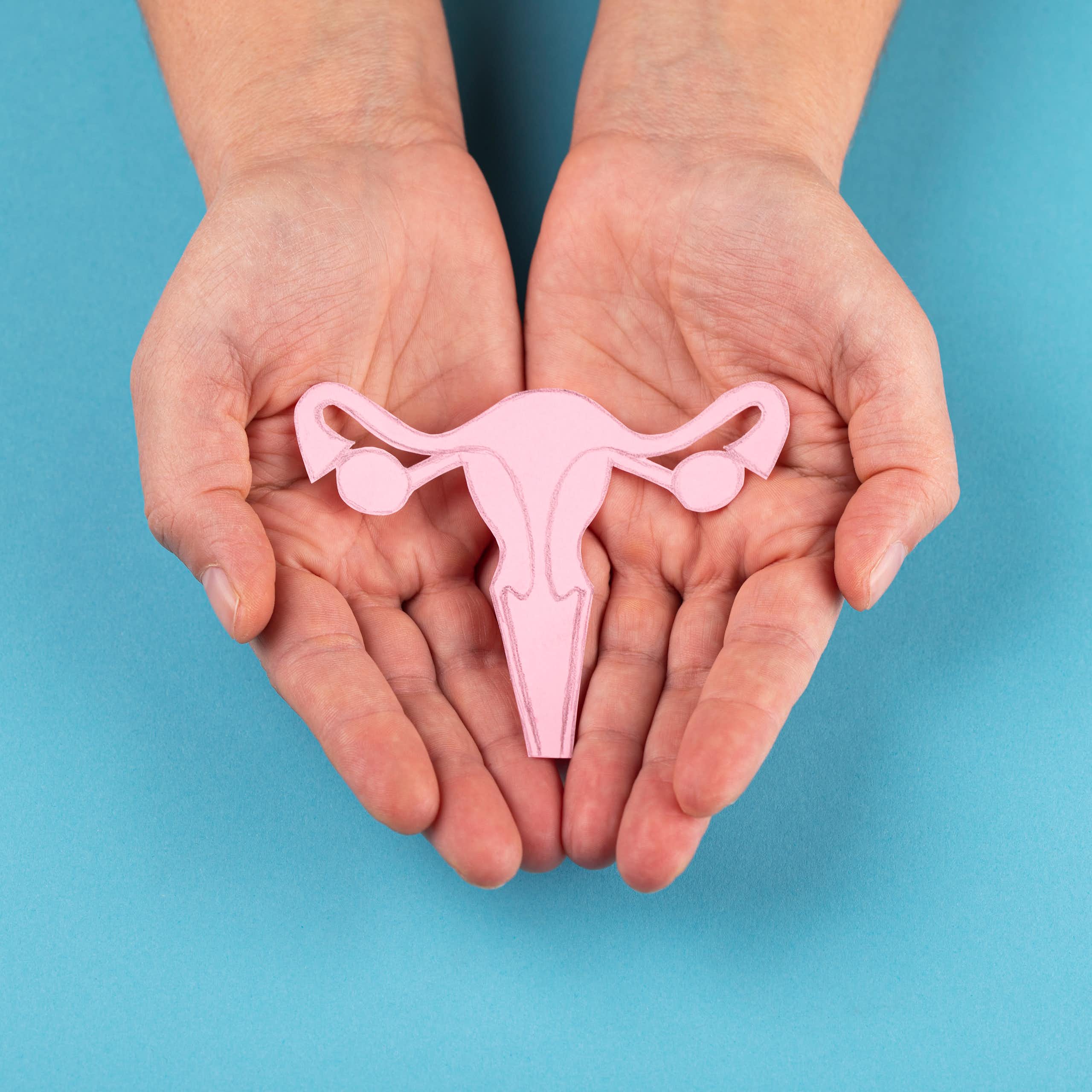 Female reproductive system in hands isolated on blue background