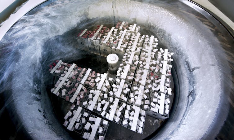 Clear batches of containers of eggs and embryos in a large, frozen circular container