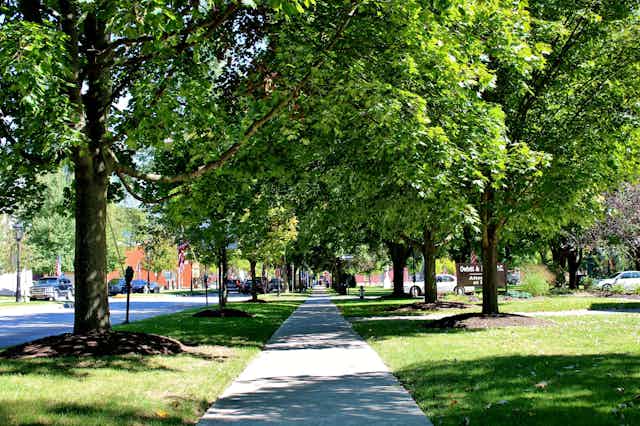 a sidewalk stretches into the distance between two rows of leafy trees