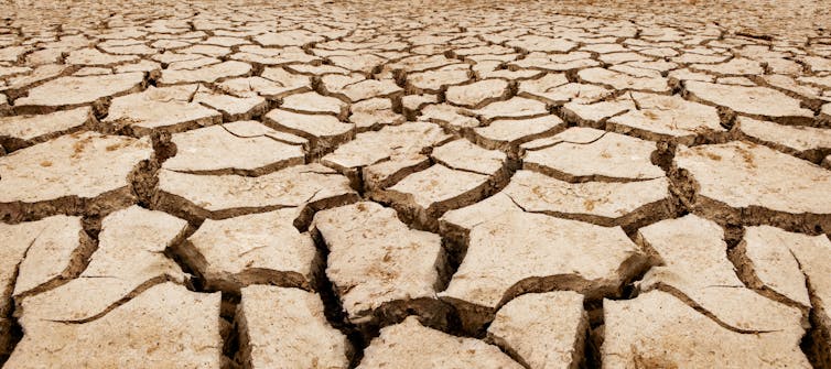 cracked, dry earth