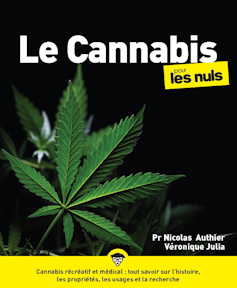 Couverture de l’ouvrage « Le cannabis pour les nuls », First Éditions.