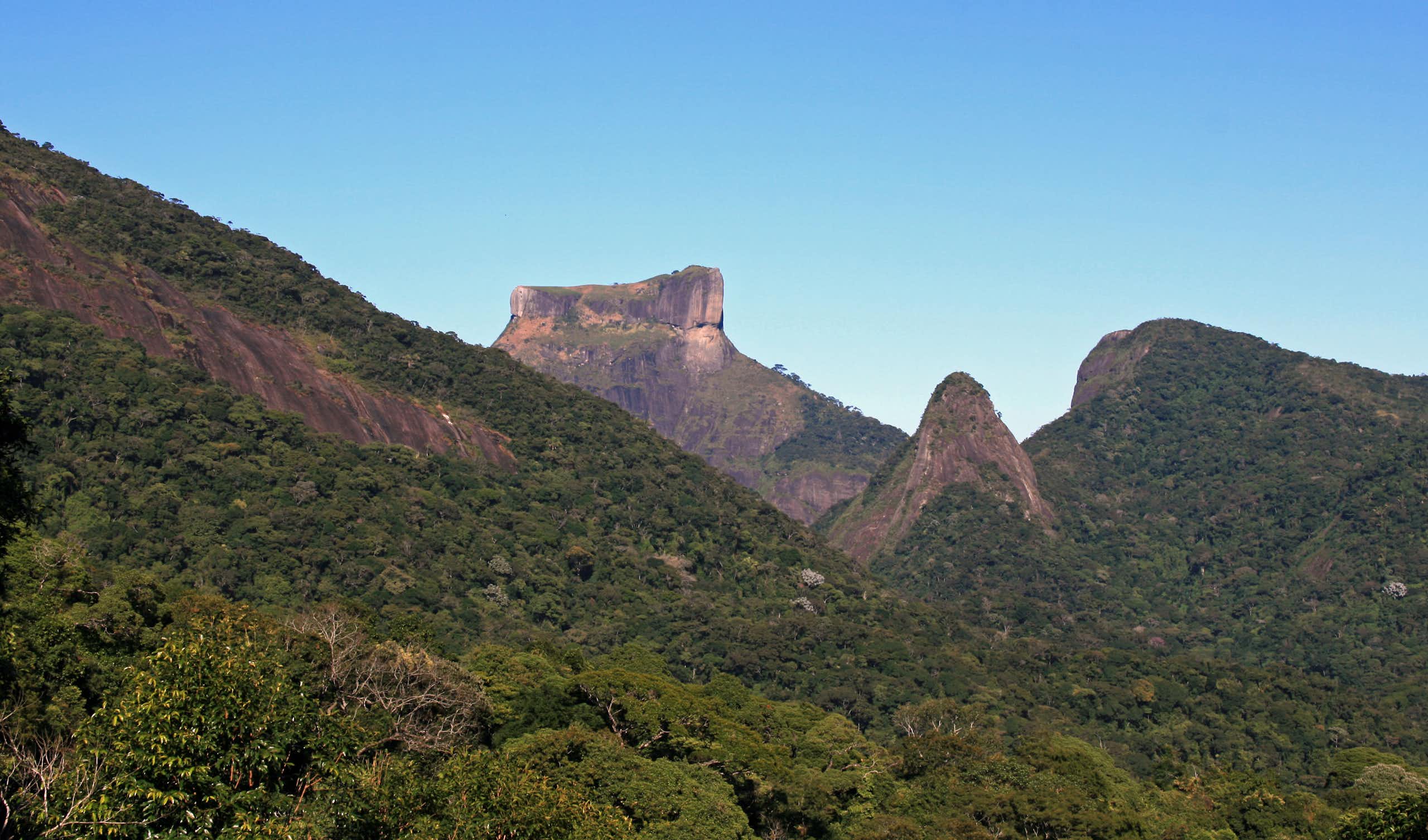 Floresta da Tijuca: trilhas do Parque Nacional mais visitado do Brasil têm a marca dos escravizados