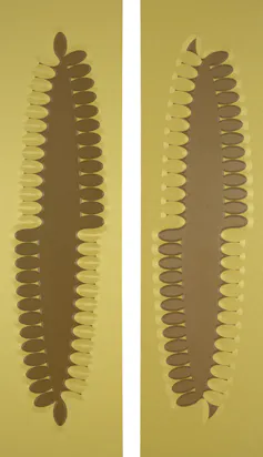 A diptych of two muted brown and pale green prints resembling ferns.