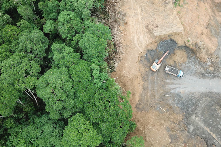 Aerial shot, tropical forest green tree canopy on left side, brown bare ground with machinery on right side, no trees