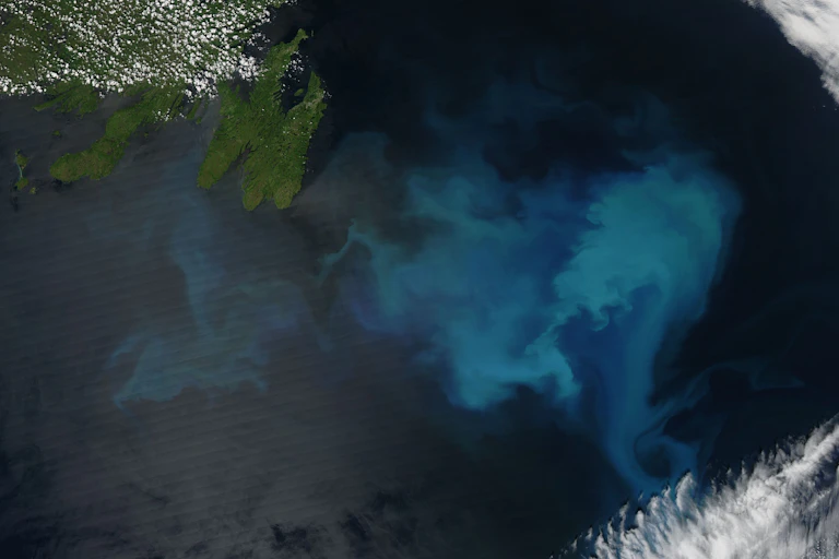 A satellite image showing a pale blue patch in the ocean.