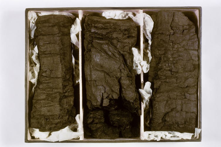 Three dark grey rectangular objects seen in a box.