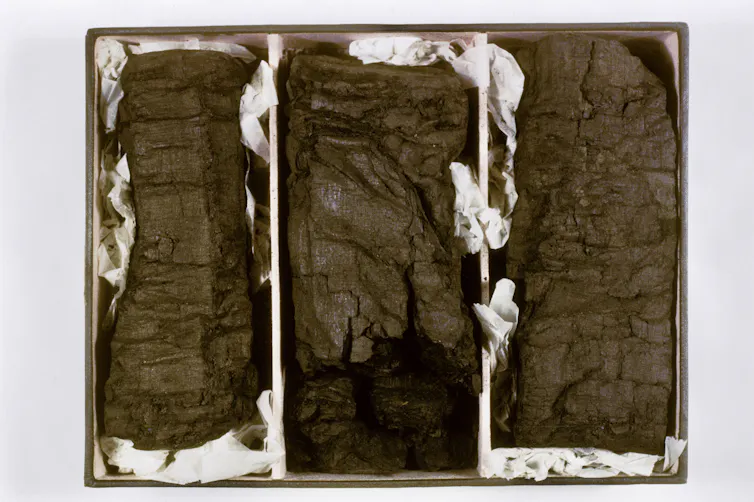 Three dark grey rectangular objects seen in a box.