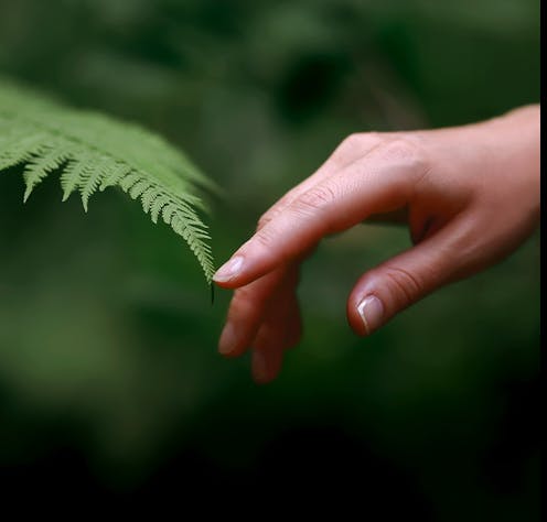 We discovered a ‘gentle touch’ molecule is essential for light tactile sensation in humans – and perhaps in individual cells