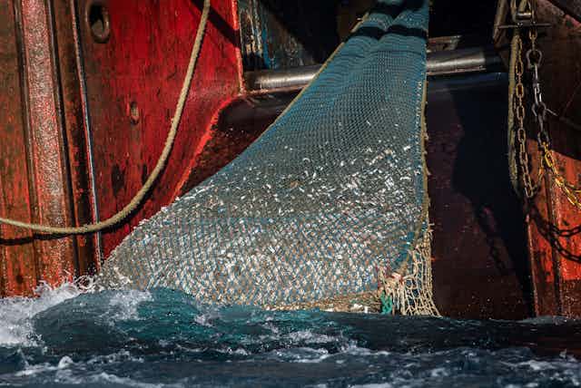 fishing trawler net
