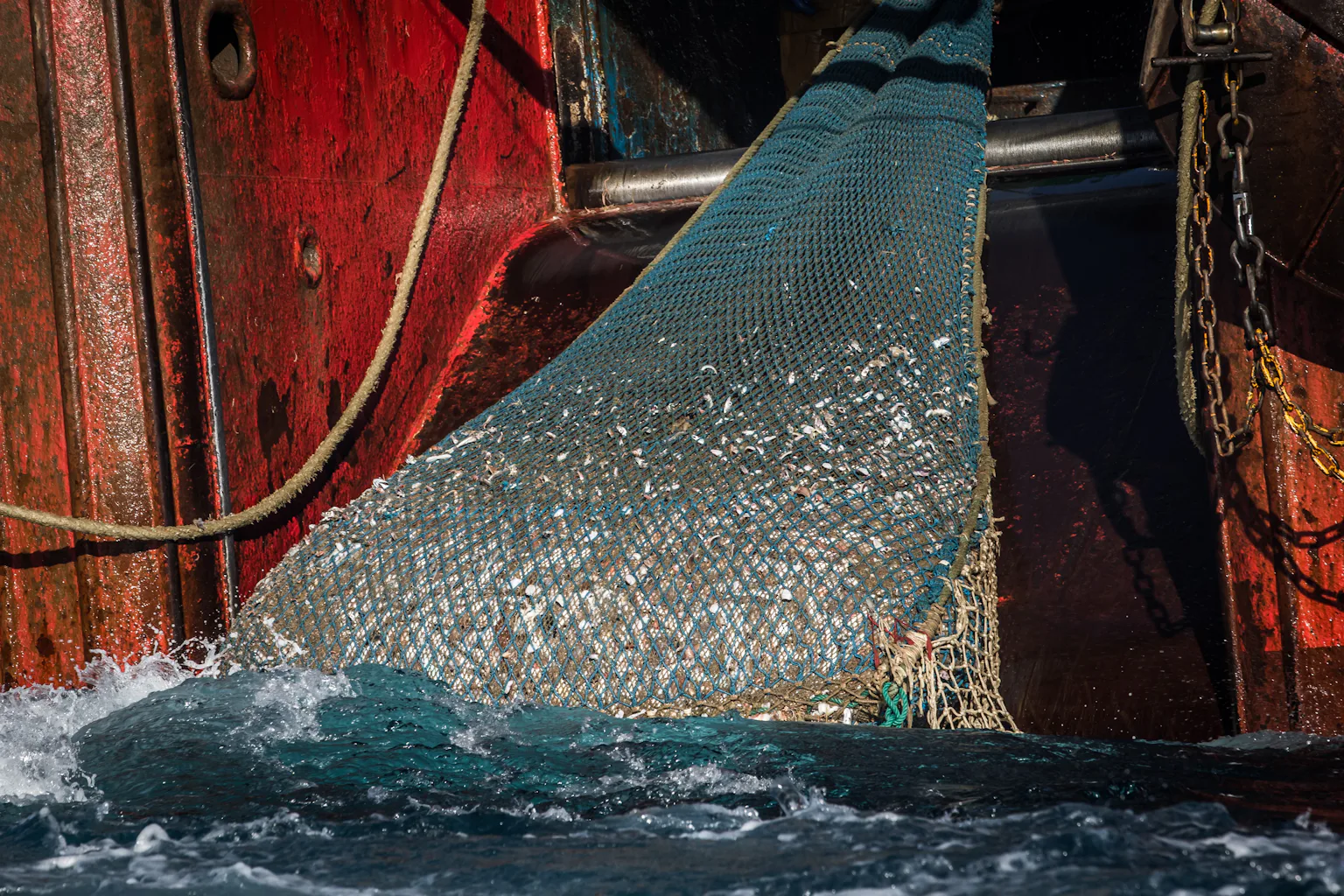 australian fishing nets Wilson Large Folding Landing Net With Telescopic Handle Anglerpower Tackle Australia contributes $1.4m to fight