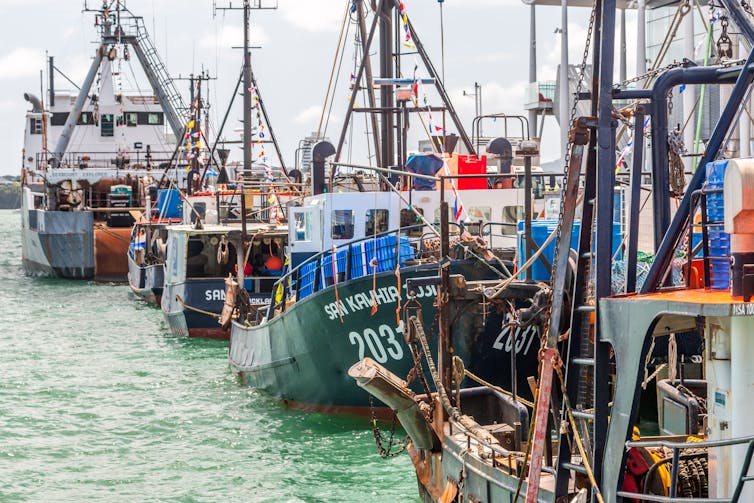 fishing boats in Auckland