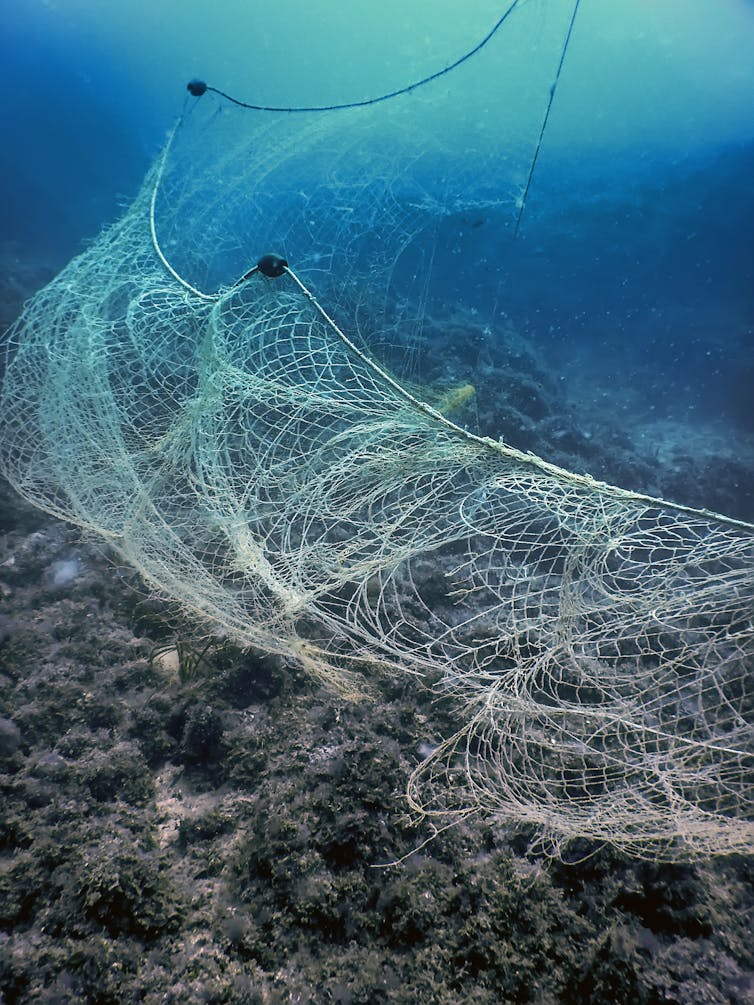fishing nets underwater
