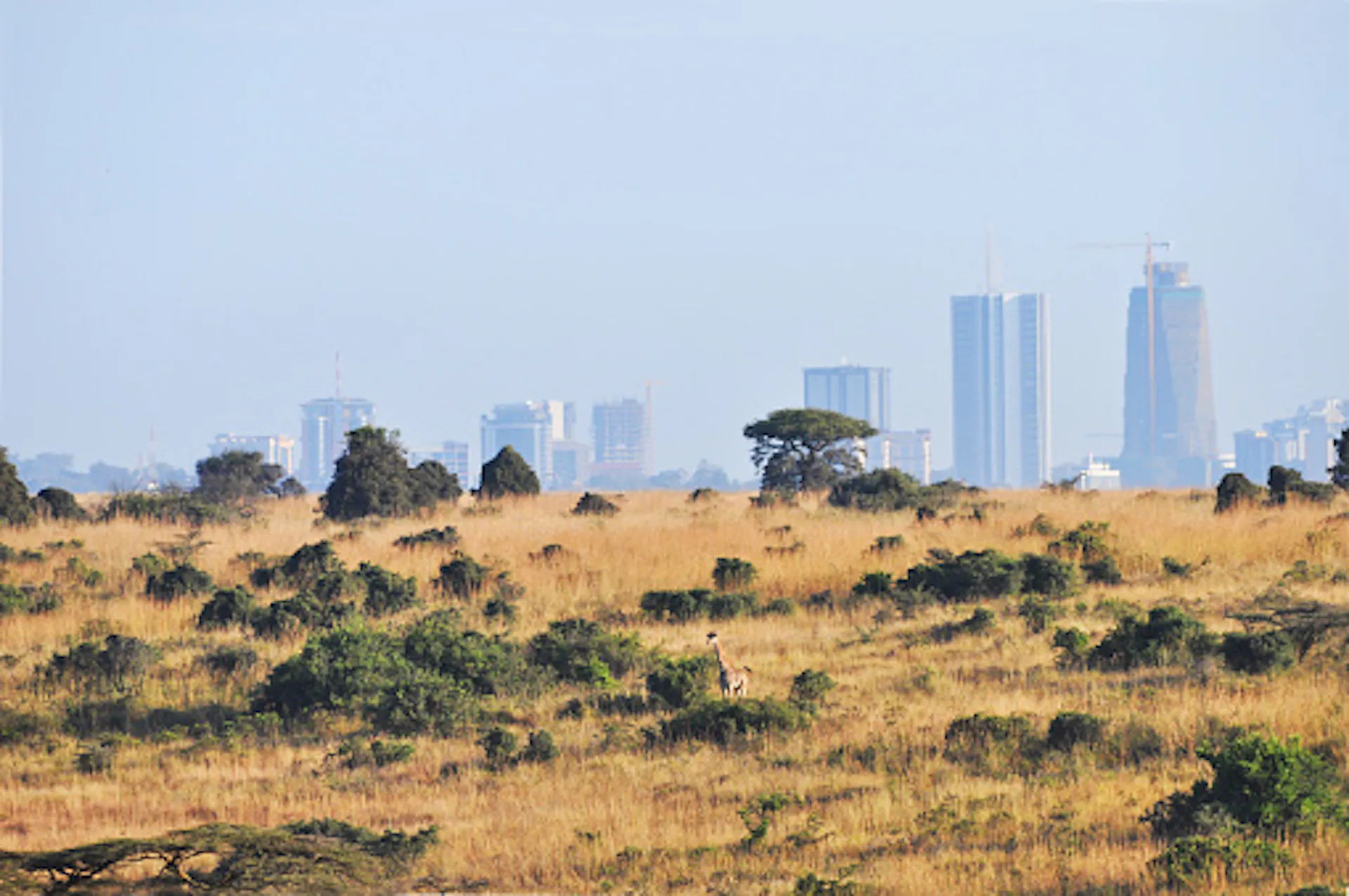 Kenya's had unusually hot weather - an expert unpacks what could be causing it - Vimarsana News
