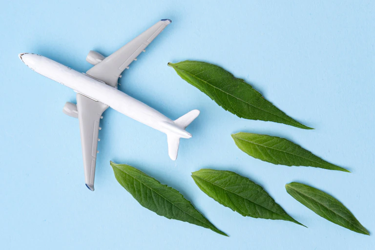 An aeroplane trailing green leaves.