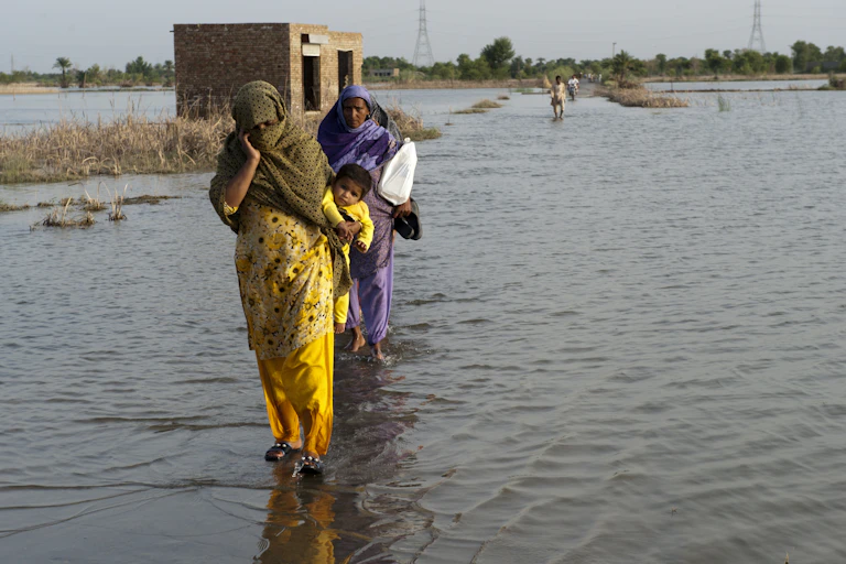 Two women in colourful yellow and purple saris, one with baby on back, walk towards camera on flooded land in Pakistan, trees in distant background.