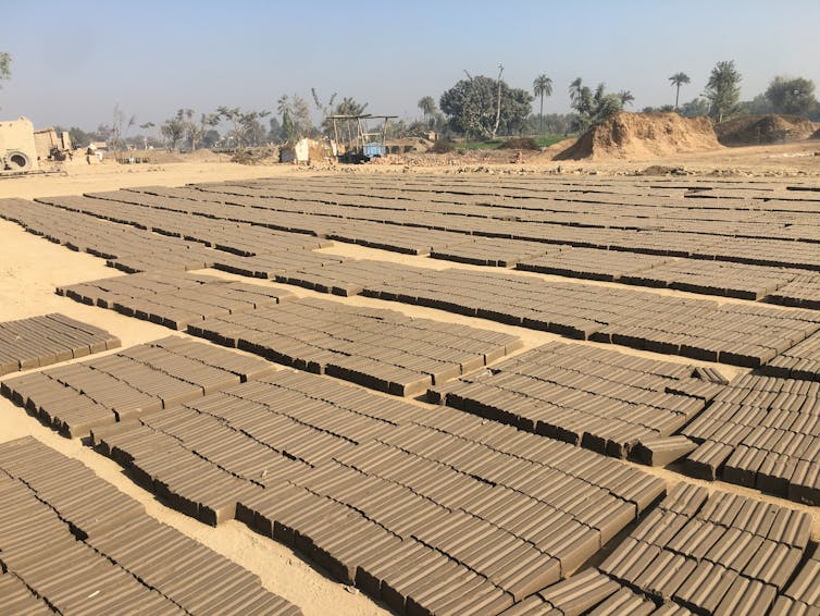 Looking down over sandy ground, brown mud bricks drying in vast rows on the ground, a few trees in background