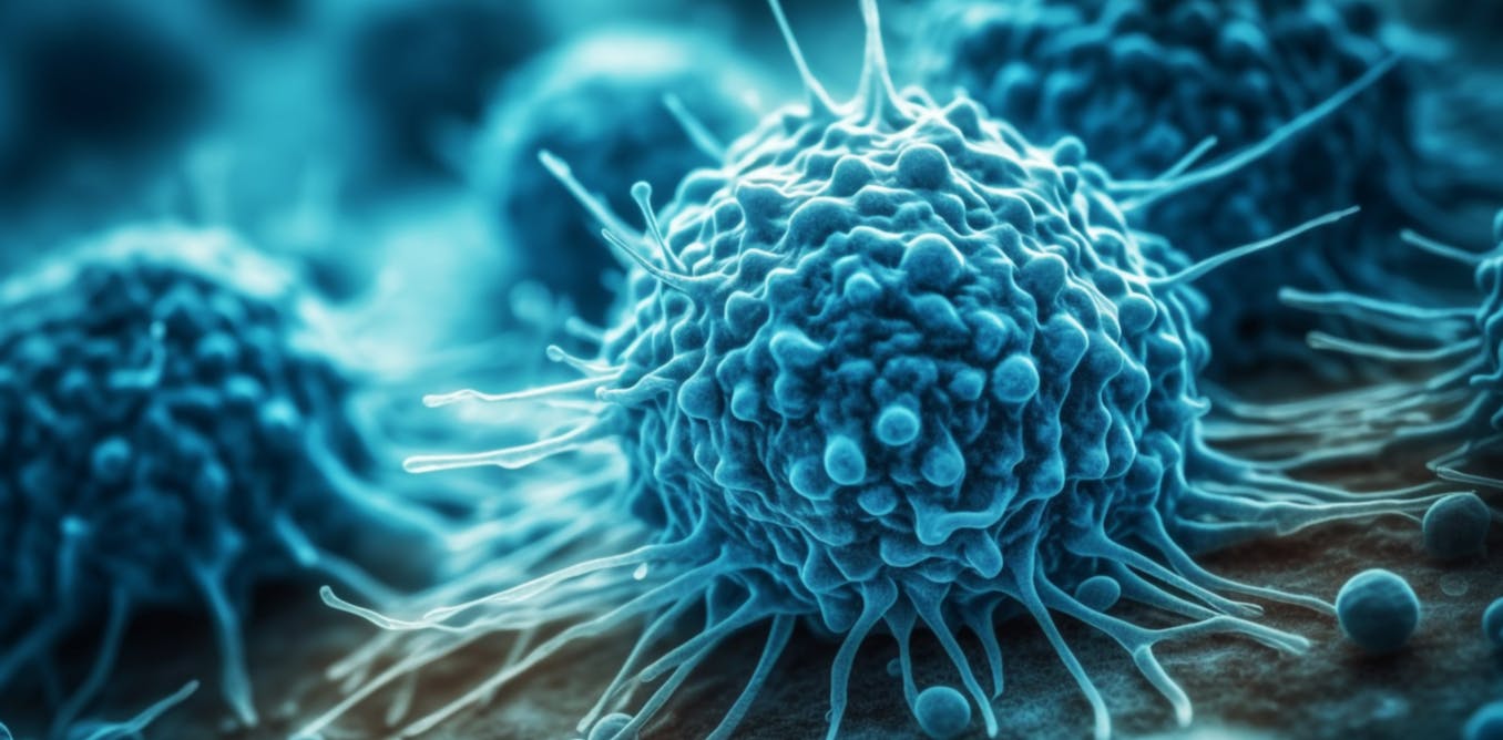 Immune cells can adapt to invading pathogens, deciding whether to fight ...