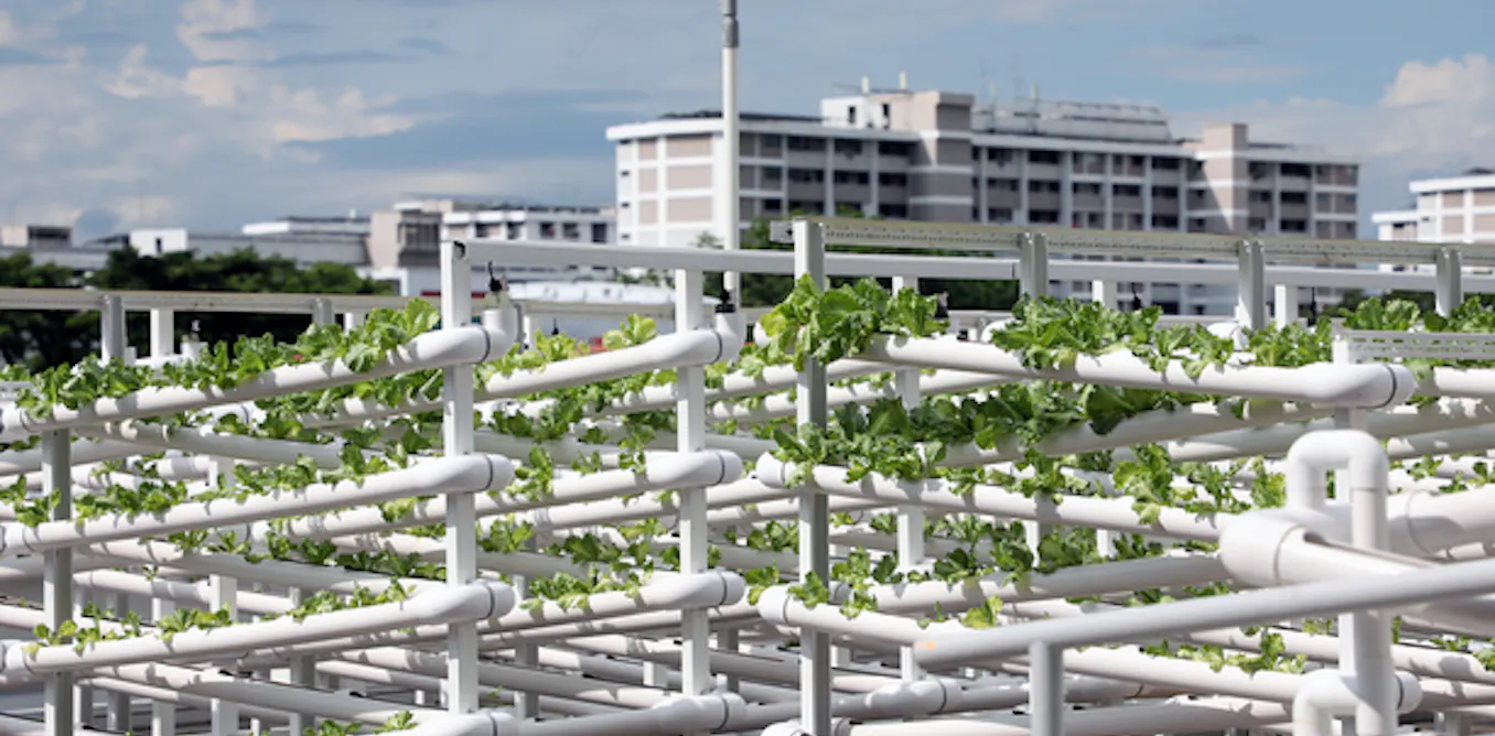 How farming could change in a post-growth world How farming could change in a post-growth world