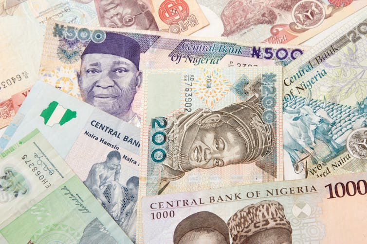 A compilation of Nigerian naira bank notes.