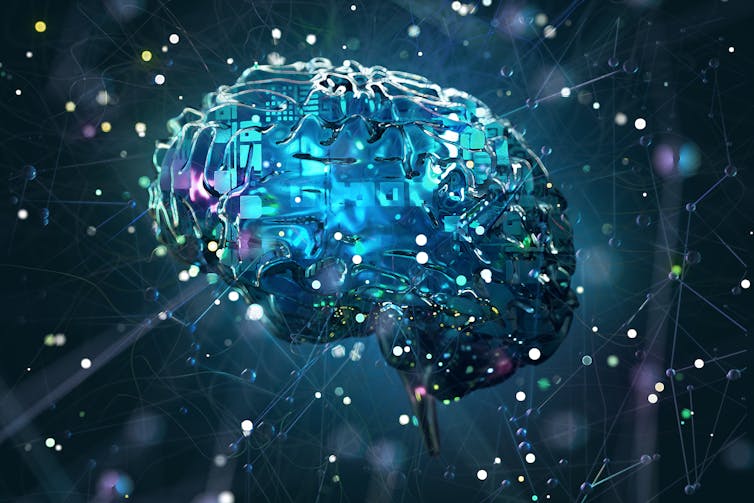 a digital representation of a brain