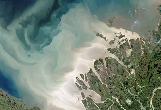 A satellite image of the coast shows in color differences the amount of silt and nutrients the fresh water is mixing into the ocean.