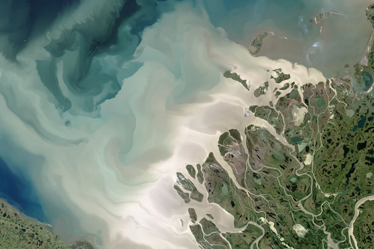 A satellite image of the coast shows in color differences the amount of silt and nutrients the fresh water is mixing into the ocean.
