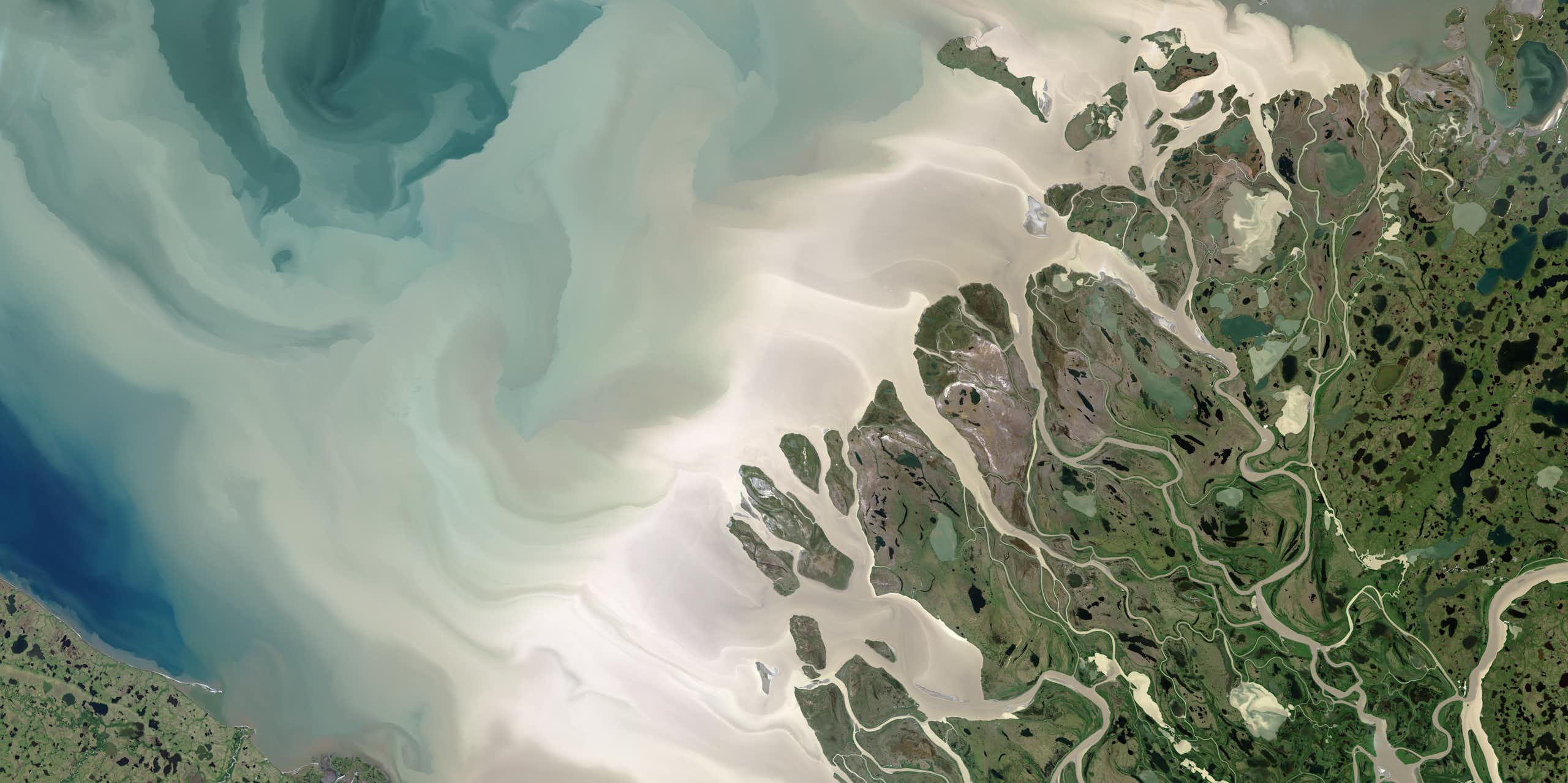 A satellite image of the coast shows in color differences the amount of silt and nutrients the fresh water is mixing into the ocean.