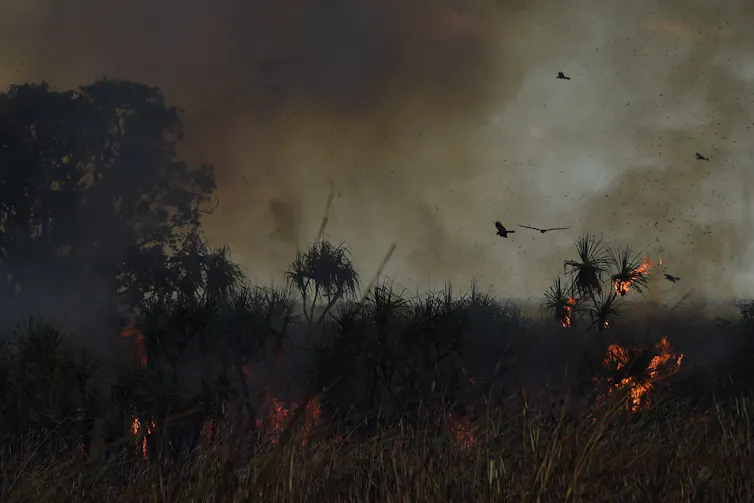 smoky sky above burning grass