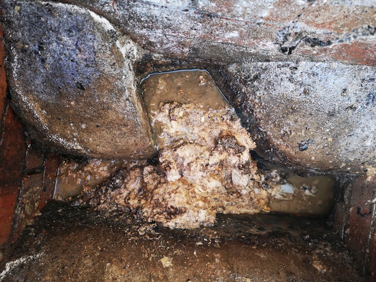 Feces and wet wipes in a domestic sewer causing a blockage