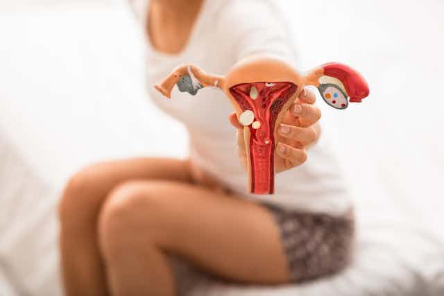 Uma mulher jovem fora de focosegurando uma reprodução do aparelho reprodutivo feminino