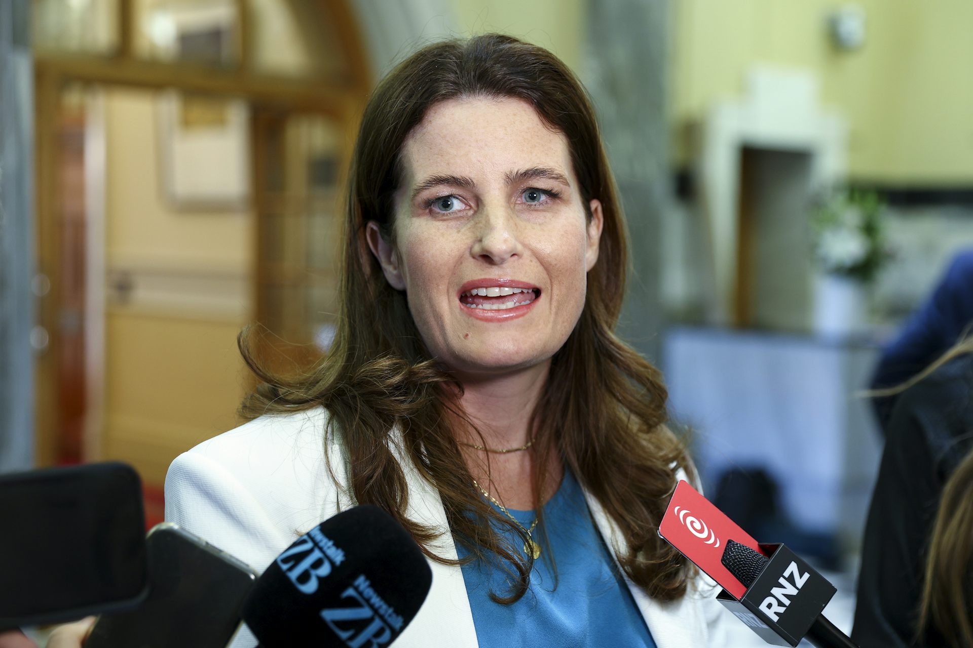 Nicola Willis speaking to media