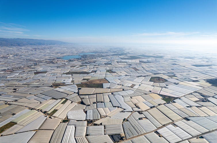 La espiral de la agricultura insostenible: de los milagros económicos a la precariedad socioambiental 2 Gran superficie de tierra cubierta por invernaderos.