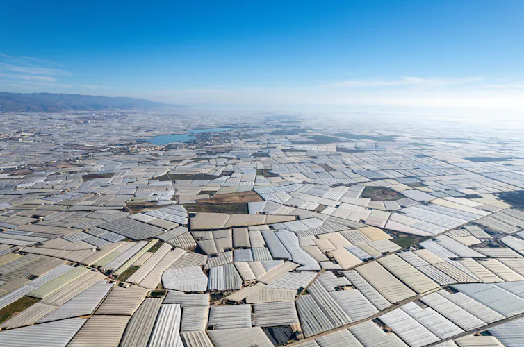 Gran superficie de tierra cubierta por invernaderos.