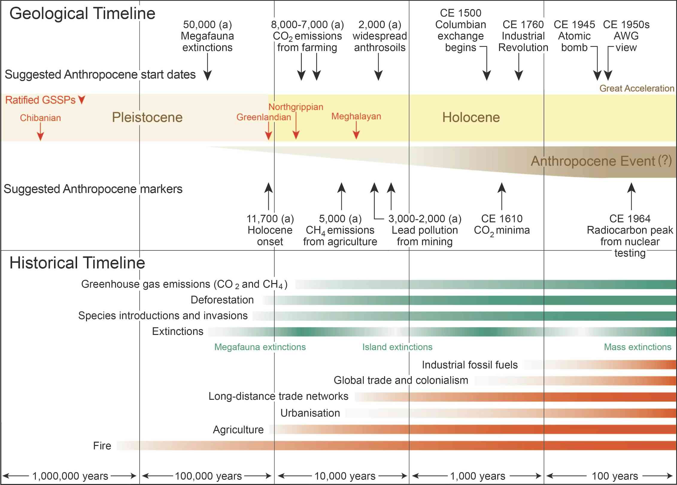 What the Anthropocene s critics overlook and why it really should be What the Anthropocene s critics overlook and why it really should be