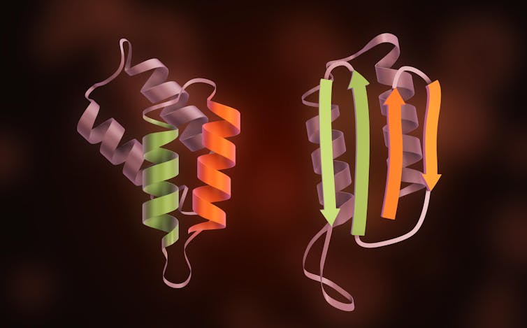 Illustration 3D montrant, à gauche, la protéine PrP sous forme d’hélices et, à droite, la même protéine sous forme de feuillets