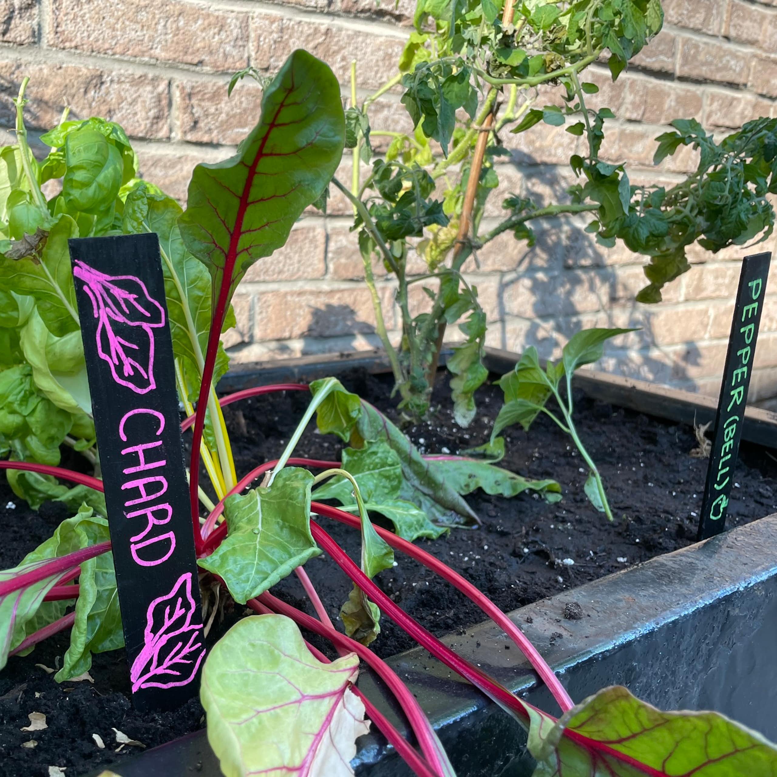 Plants seen growing in a planter bed with labels against a brick wall.