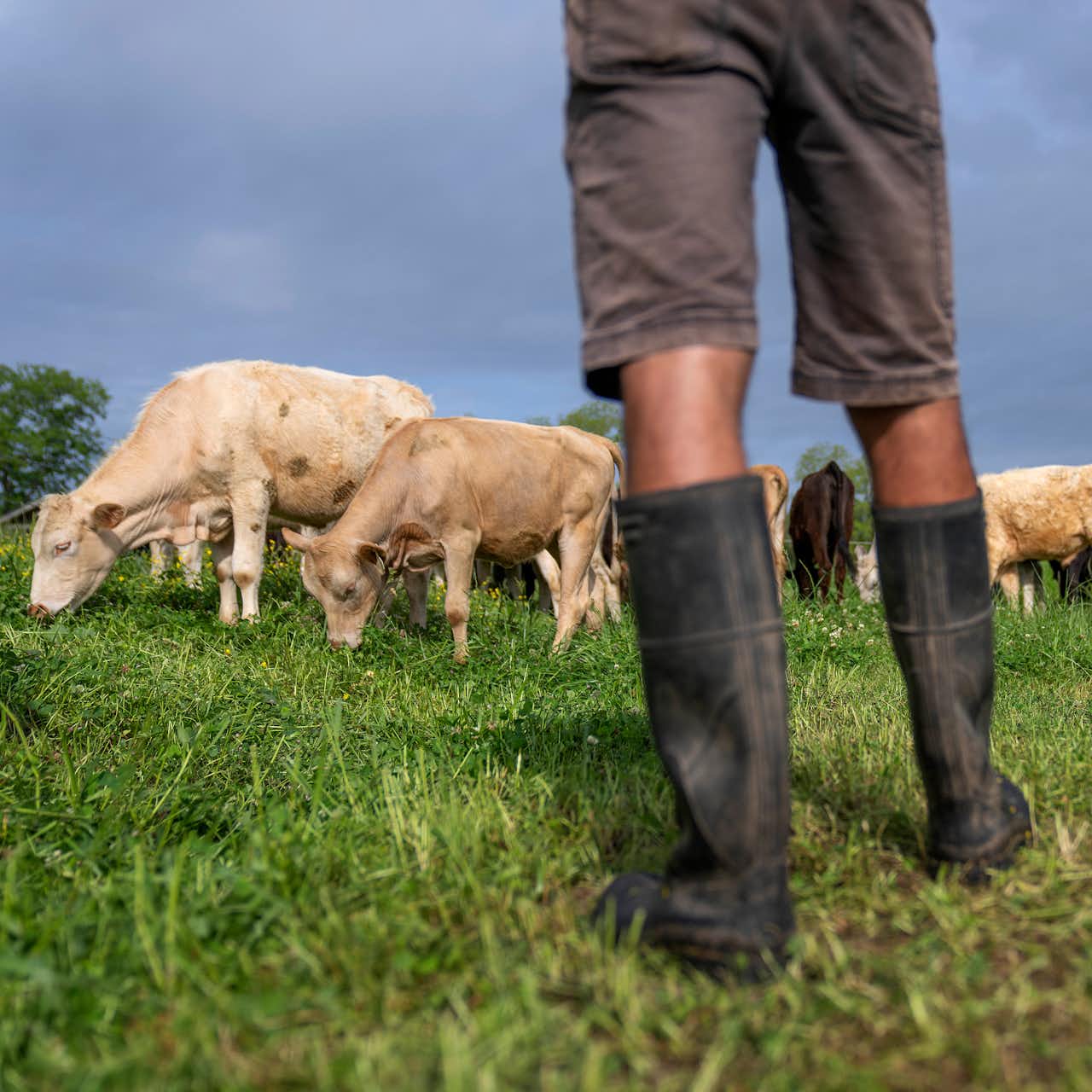 The Conversation In depth Analysis Research News And Ideas From the-conversation-in-depth-analysis-research-news-and-ideas-from