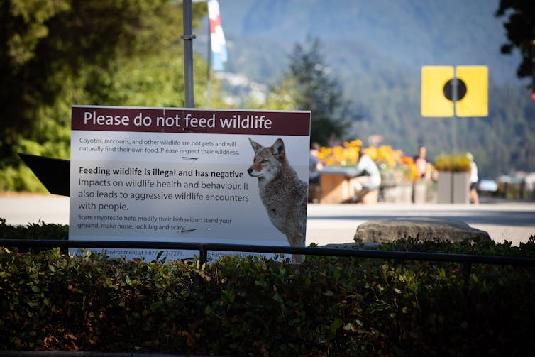 A sign warning people not to feed wildlife is seen in a park