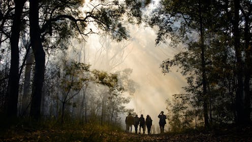 Cultural burning is better for Australian soils than prescribed burning, or no burning at all