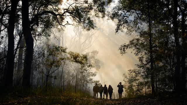 A group of people walking into the distance along a tree-lined path, silhouetted against a smoky sky at a controlled burn