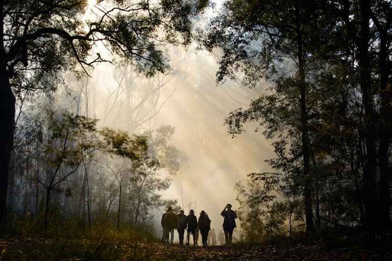 A group of people walking into the distance along a tree-lined path, silhouetted against a smoky sky at a controlled burn