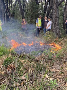 People standing around a slow-burning patch of bracken