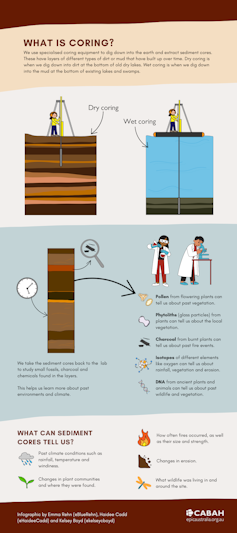 Infographic showing the process of extracting and analysing a sediment core.