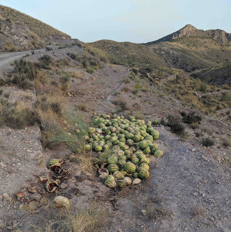 La espiral de la agricultura insostenible: de los milagros económicos a la precariedad socioambiental 1 file 20240307 24 jhtual.jpg?ixlib=rb 1.1