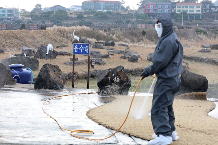 A person in mask and overalls sprays surfaces in a coastal wetland.